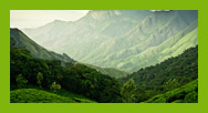 North East India Tour